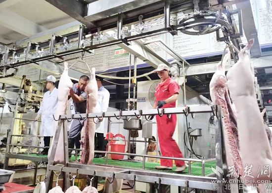 红安十佳创新创业人才周鹏,红安十佳青年创新创业人才