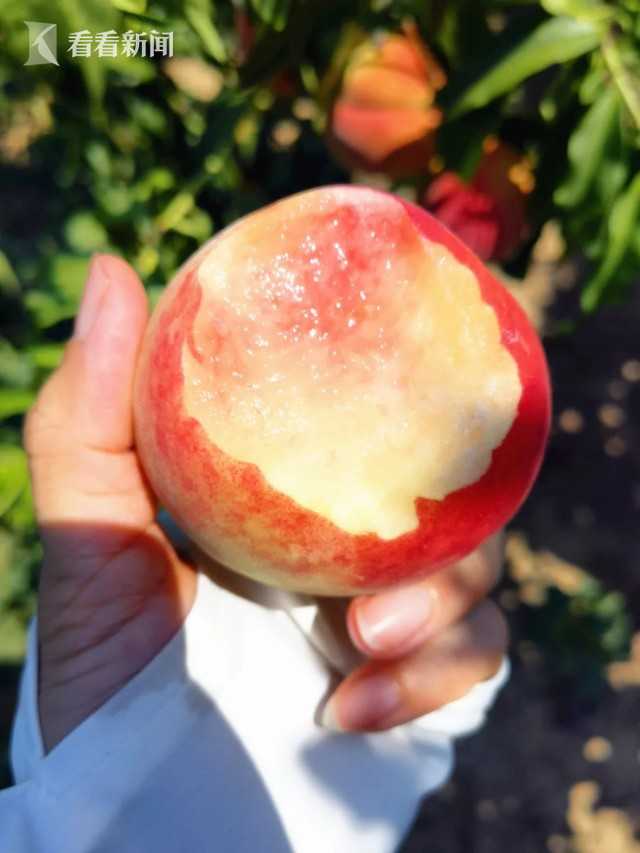 青浦美食推荐3-4人餐,青浦十大特色馆子