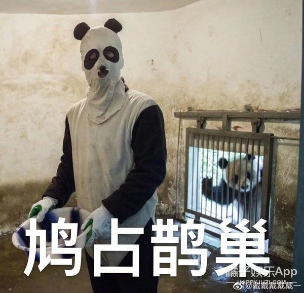 橘子晚报/吴京拒绝女嘉宾挽手?姜昇润恋情?