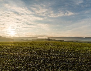 史丹利二代,史丹利近10年利润