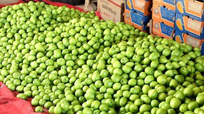 果蔬产业推动乡村振兴,发展果蔬产业助力乡村振兴