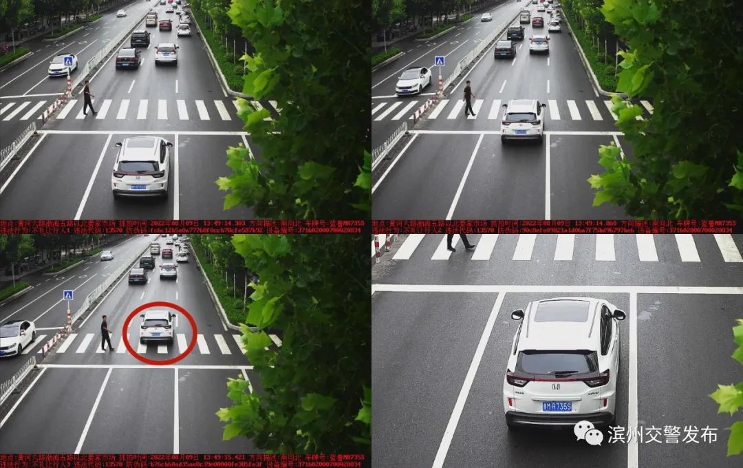 滨州不礼让行人扣多少分罚多少钱,山东滨州交警查酒驾不规范行为