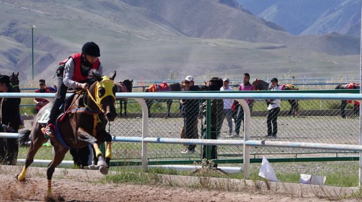 肃南赛马会现场直播,肃南裕固族自治县赛马