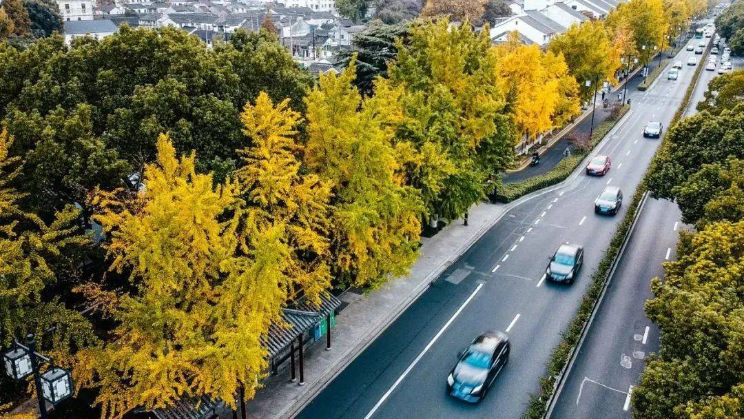 苏州高新区启动24个民生实事项目,2022年苏州实事民生项目有哪些