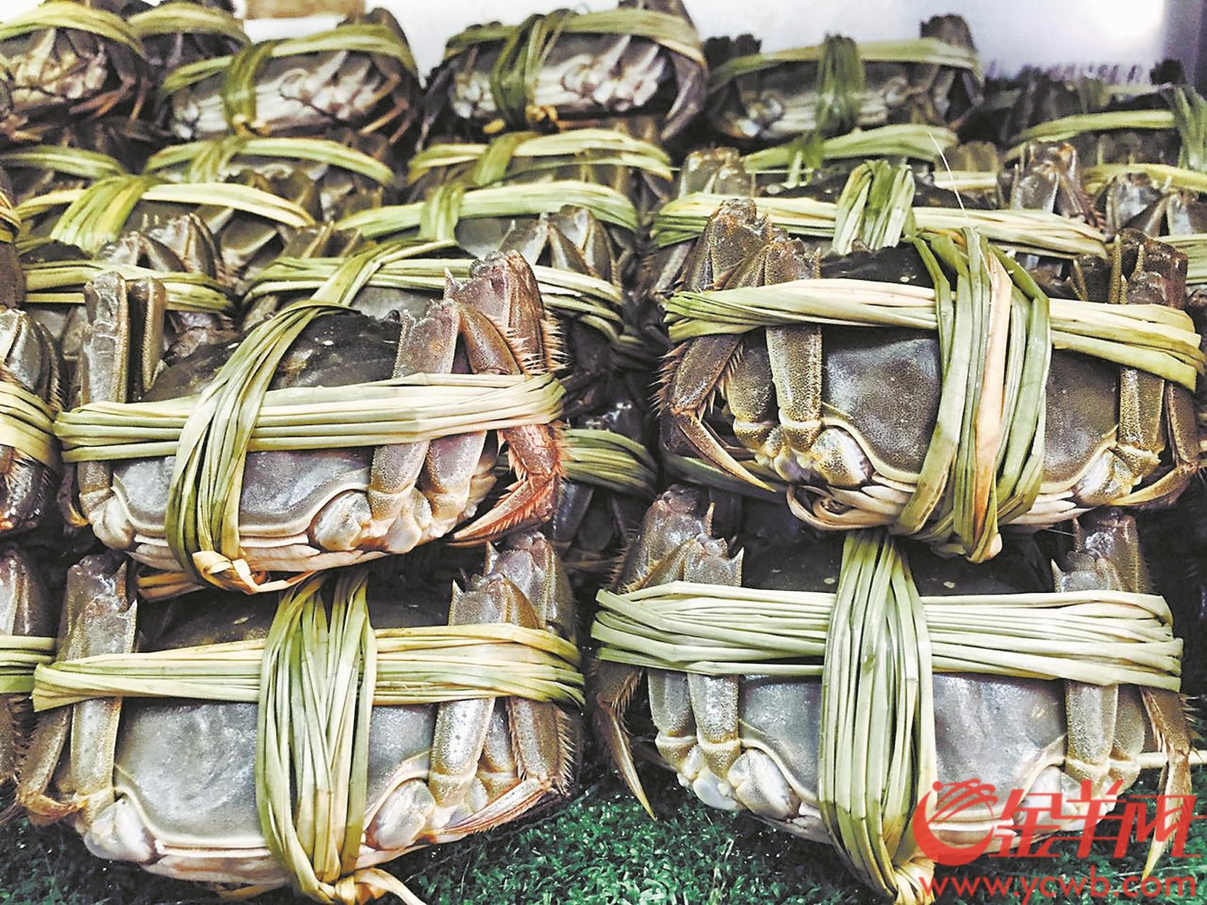 购买大闸蟹要警惕预售陷阱,大闸蟹购买避坑指南