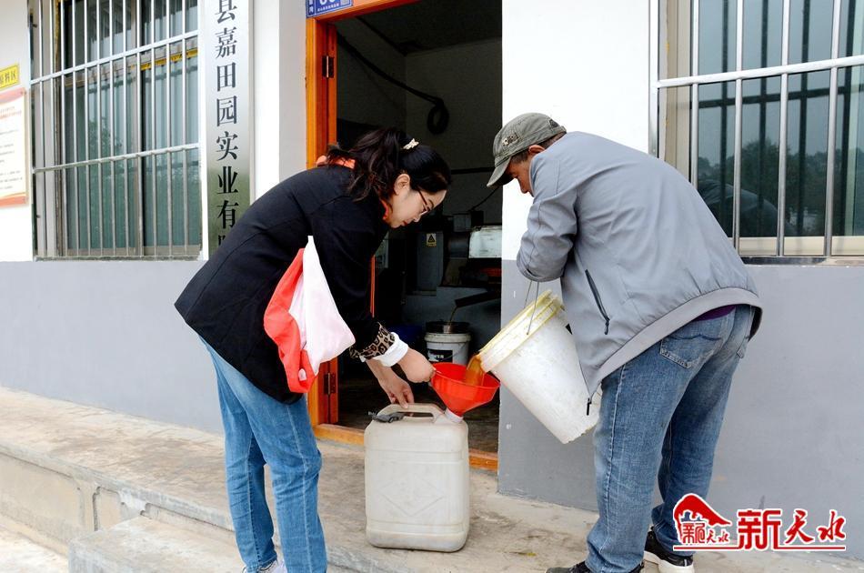 武山县*庄大**村：小油坊“榨”出集体经济大未来