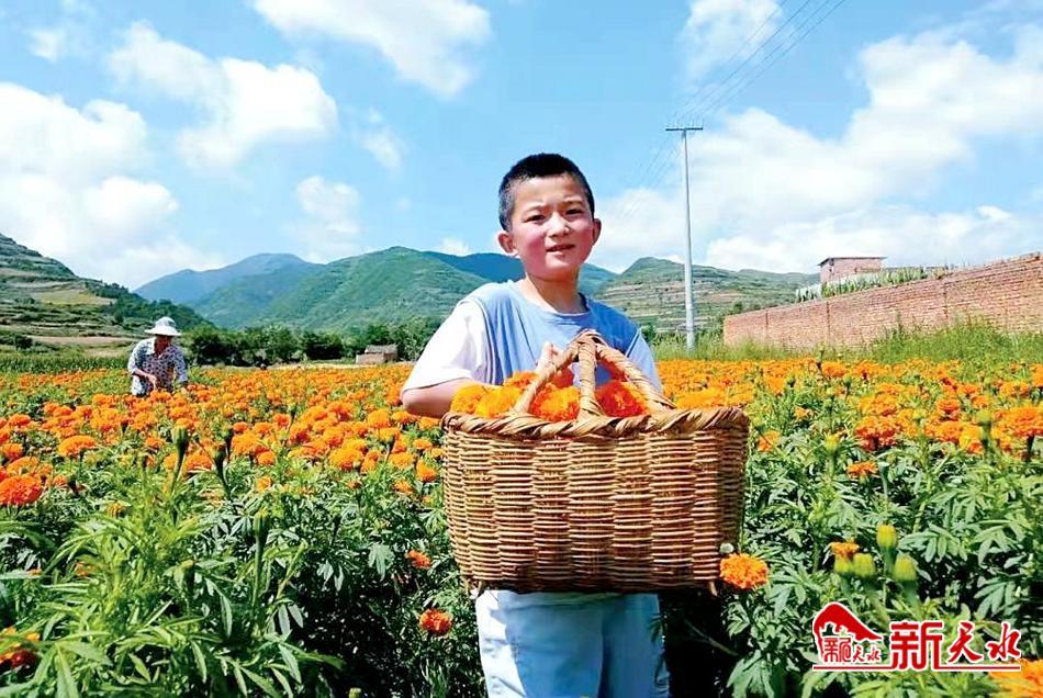 武山县*庄大**村：小油坊“榨”出集体经济大未来