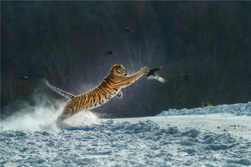 郭建华作品,郭建华北京专场