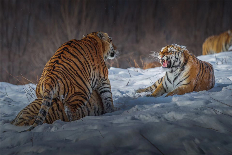 郭建华作品,郭建华北京专场