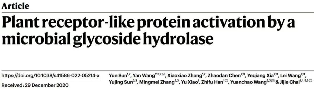 疫霉菌和植物“攻防之战”发生了什么？南农大作物免疫团队与合作者最新成果发表《自然》杂志