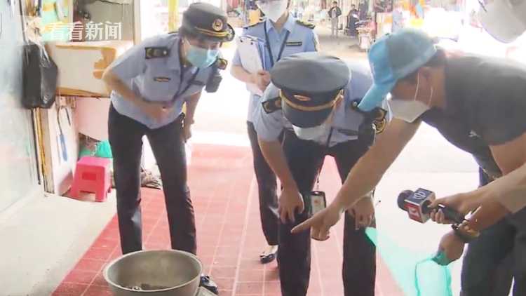 阳澄湖大闸蟹会不会有蟹奴,阳澄湖大闸蟹会在地上走吗