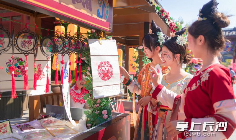 工业强市幸福宁乡,宁乡市工业强市挺起发展脊梁