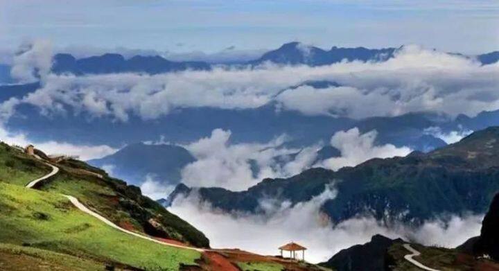 昆明最美的秋天,别眨眼带你看花海