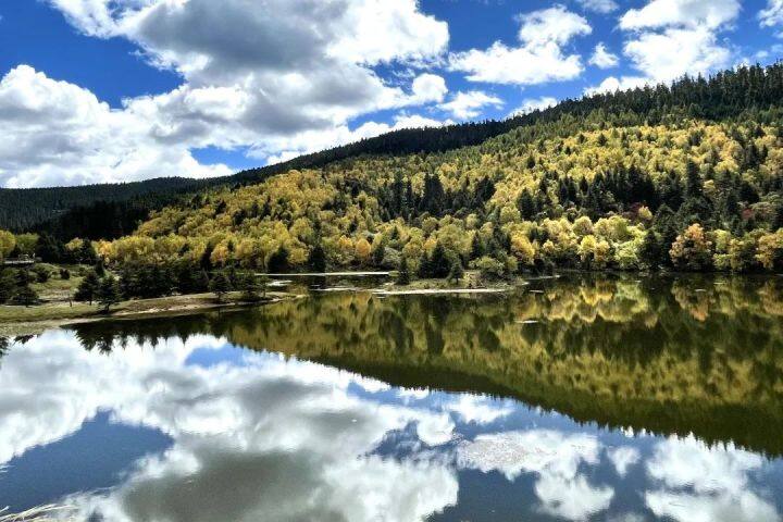 昆明最美的秋天,别眨眼带你看花海