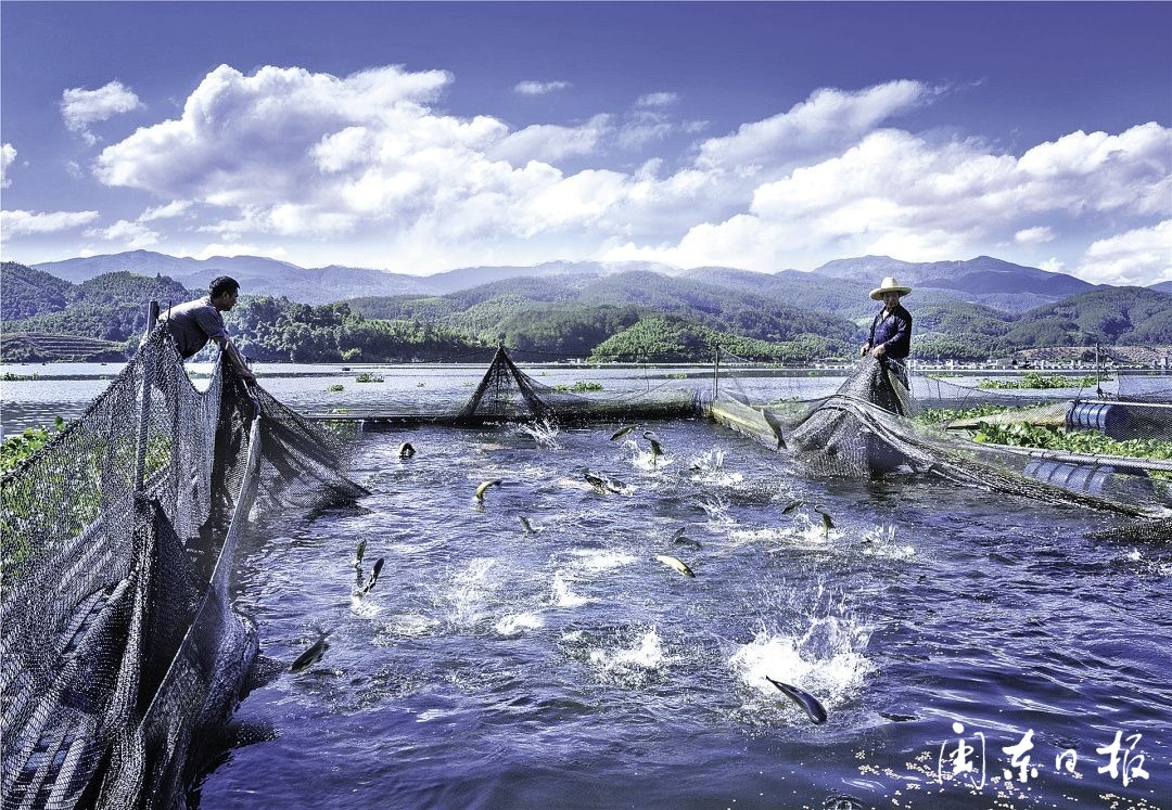 非凡十年飞跃新如皋,非凡十年黑龙江再踏新征程