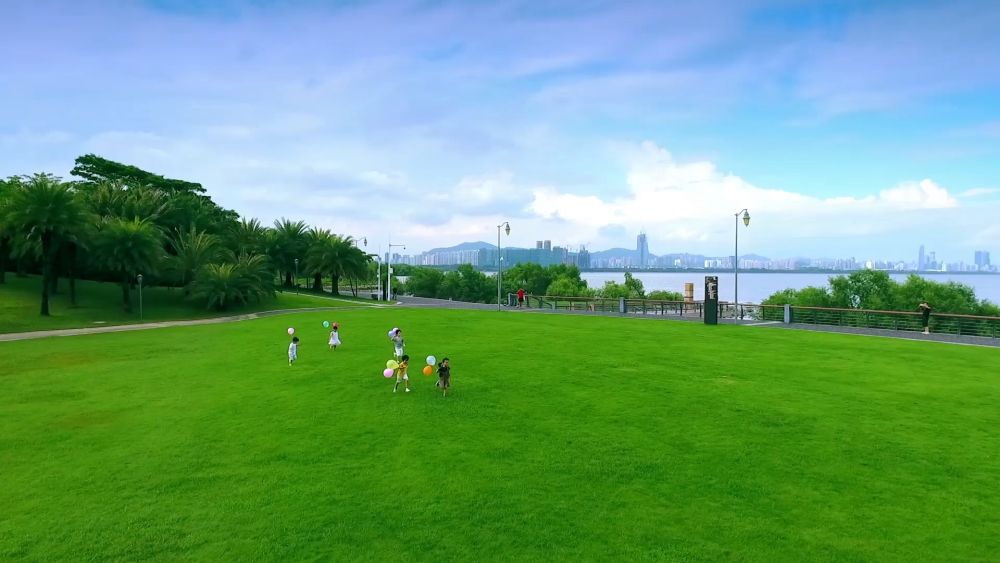 大型政论片新时代答卷观后感,大型政论片免费观看