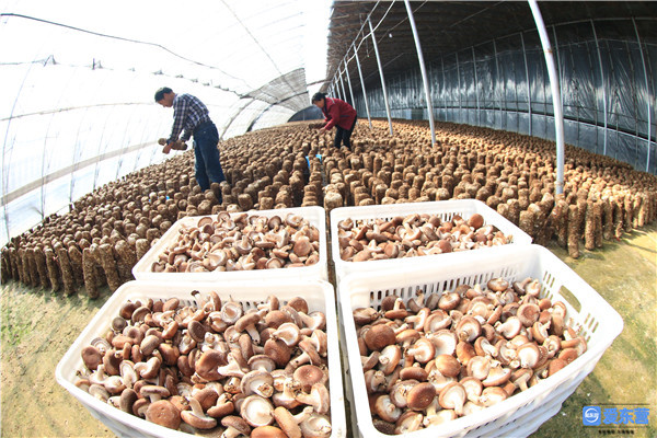 奋进新时代建功新征程变化,建功新时代奋进新征程总结