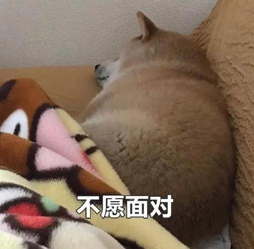 挤痘挤成什么样才会得脑膜炎,挤粉刺导致脑膜炎案例