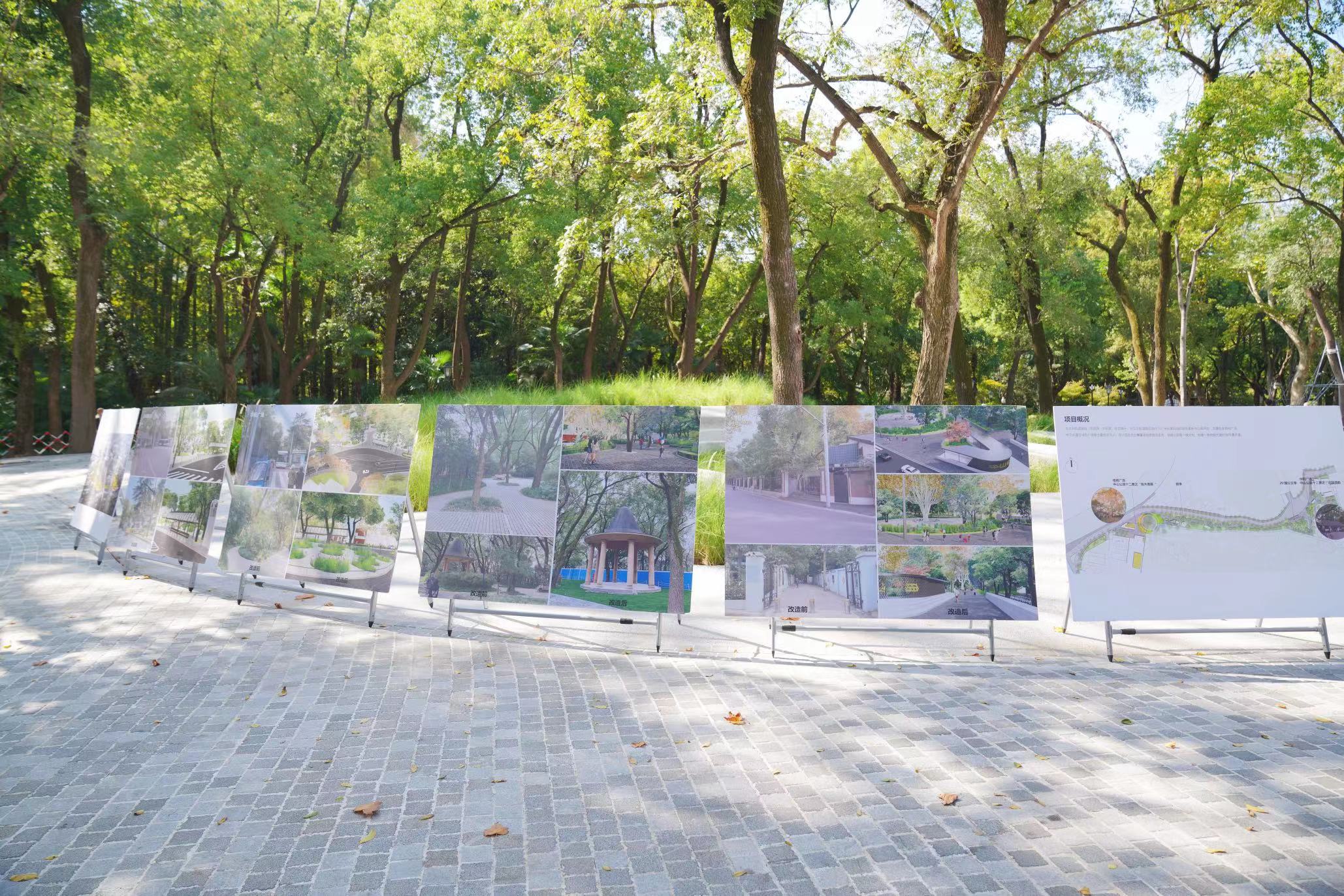 你以为早起的鸟儿一定有虫子吃吗,早起的鸟儿会有多的虫子吃吗