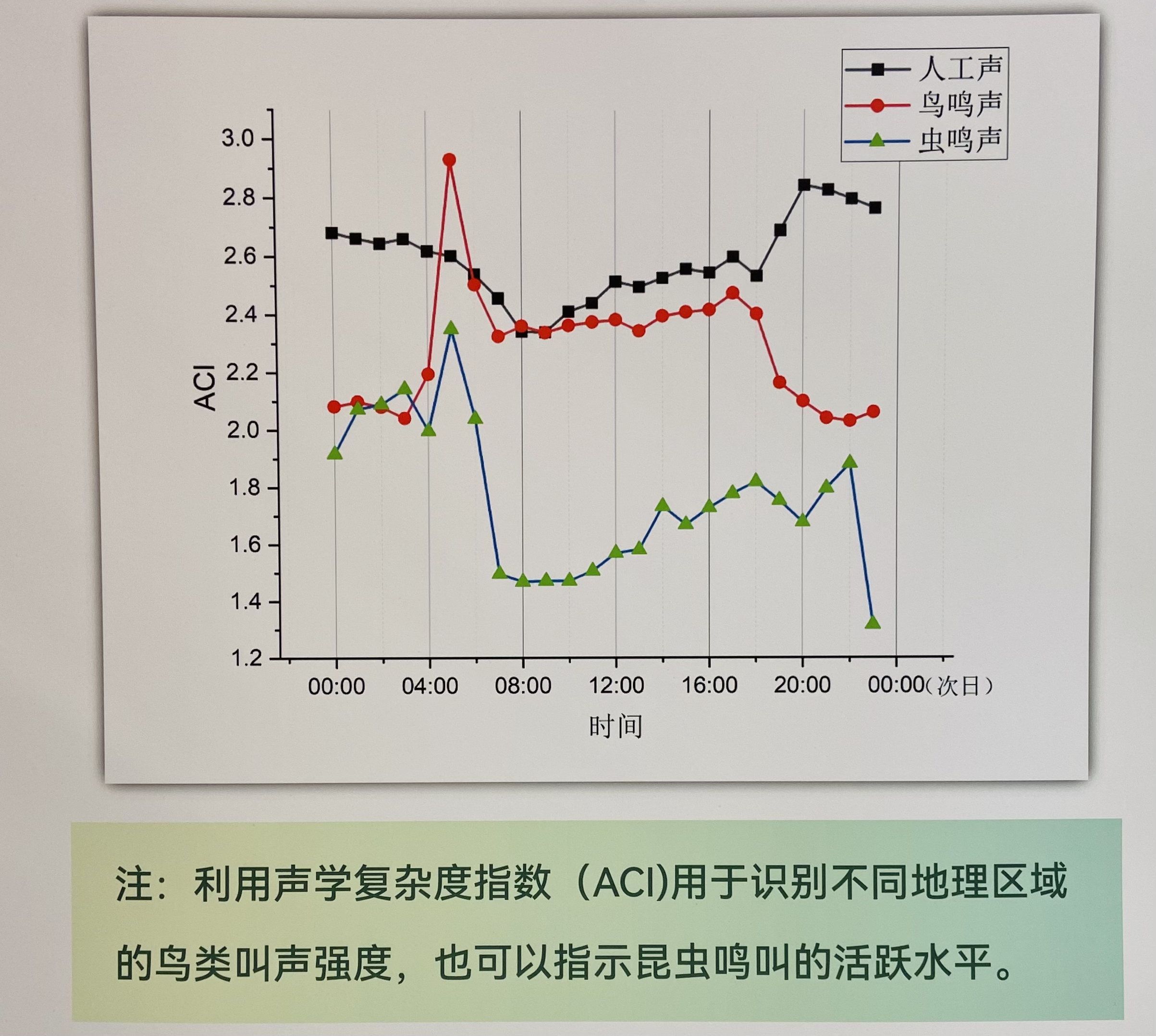 你以为早起的鸟儿一定有虫子吃吗,早起的鸟儿会有多的虫子吃吗
