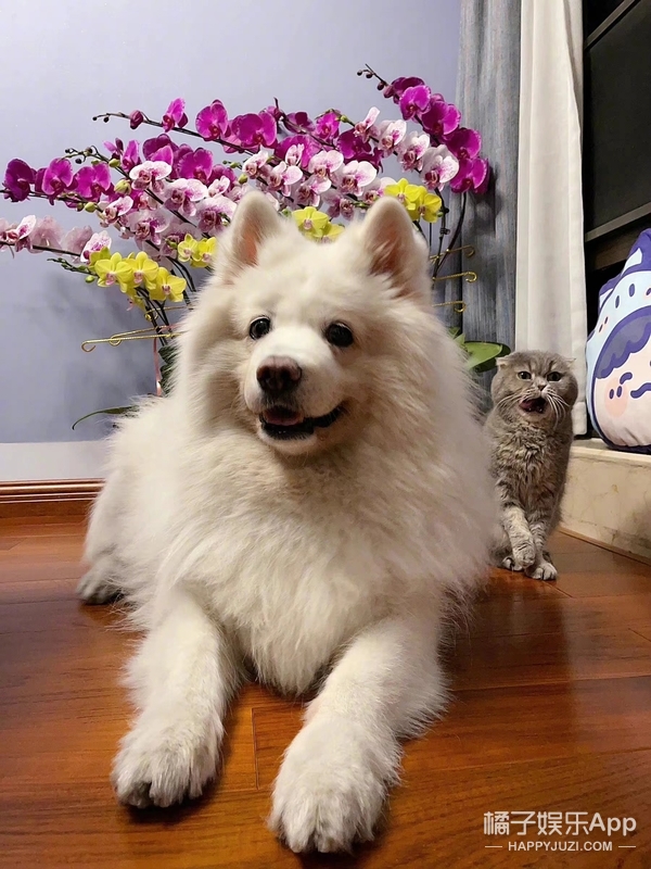 还记得“回忆专用小马甲”博主吗？他现在谈恋爱了？