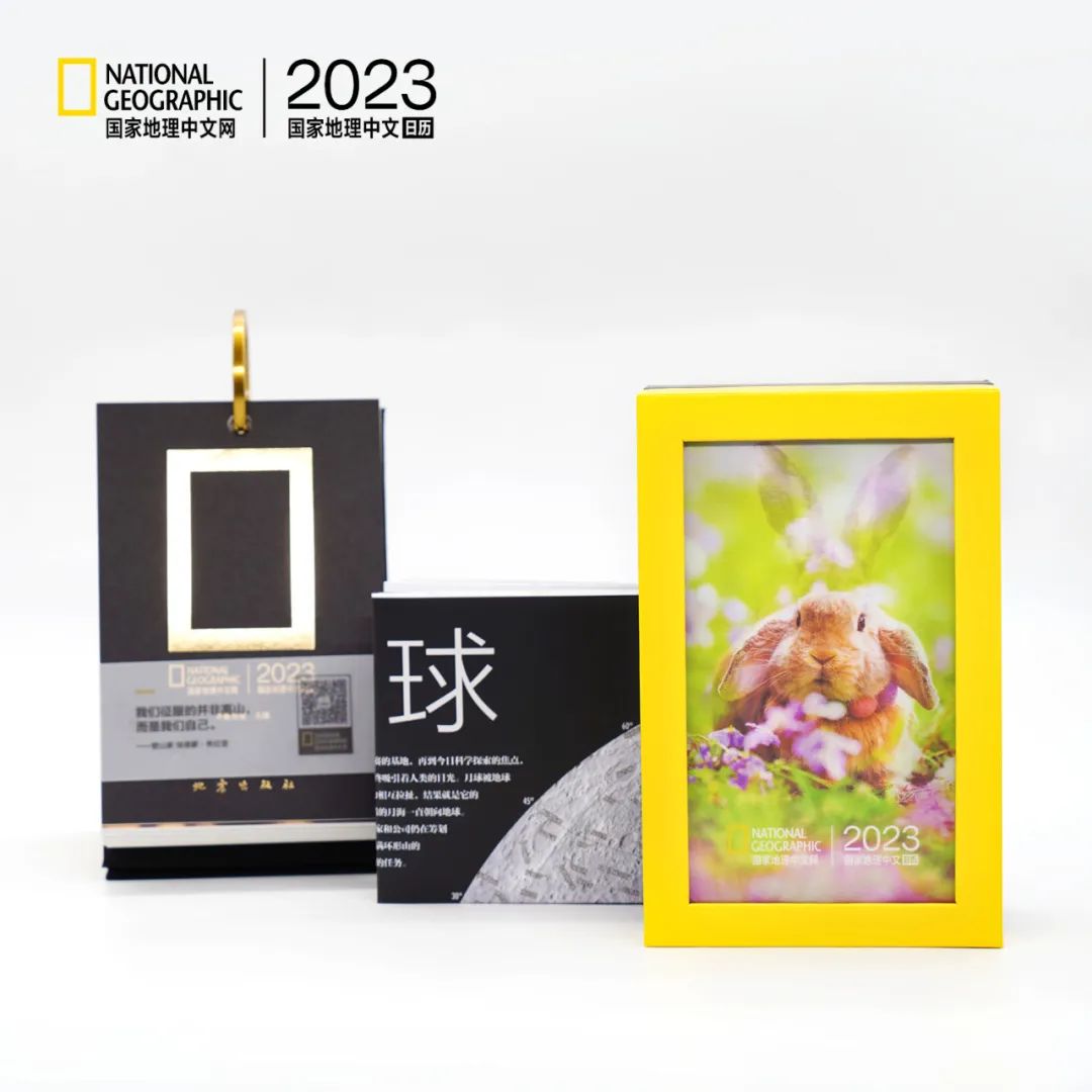 中国的龙与dragon有什么不一样,西方人把中国龙译为dragon