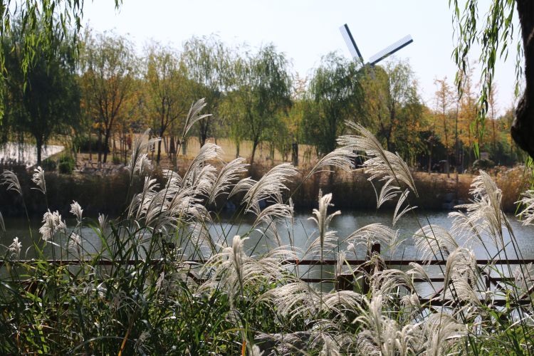 高新区花山公园景区,西安高新区双创公园