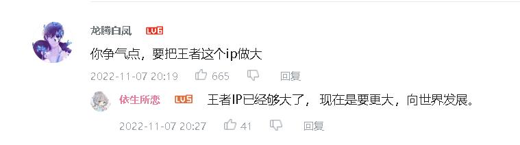 王者荣耀未来5年大ip,王者荣耀会成为世界级游戏吗