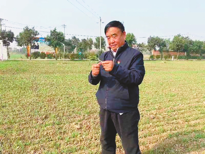 “大国农匠”解锁现代农业青*梦春**想放飞金色田野