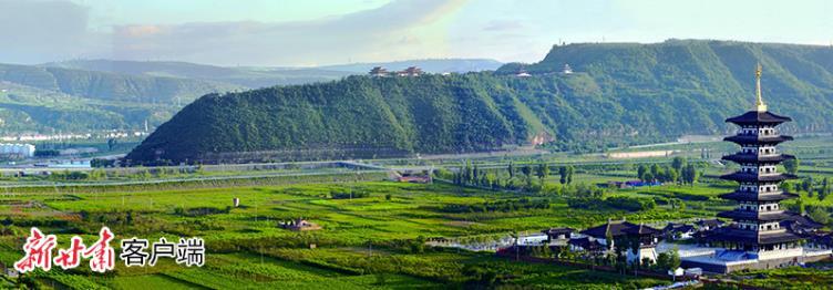 黑马跨栏一飞冲天,甘肃泾川县黑马