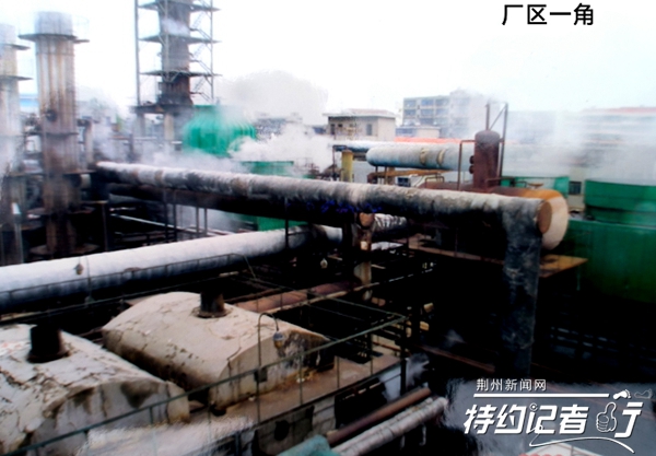 特约记者行：从饼干到苯酐树脂厂的高光时期