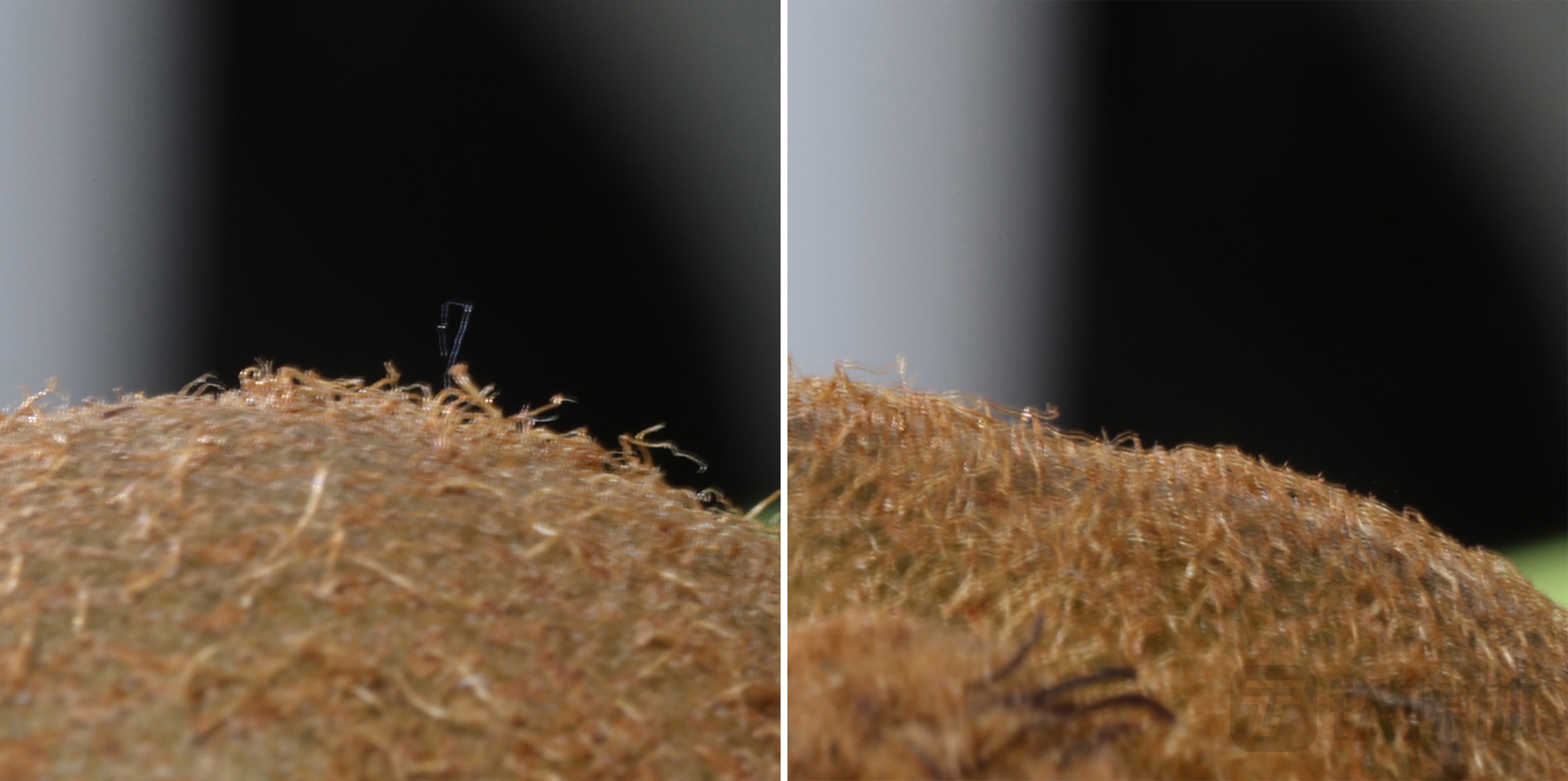 izumi剃须刀对比飞科,izumi剃须刀750