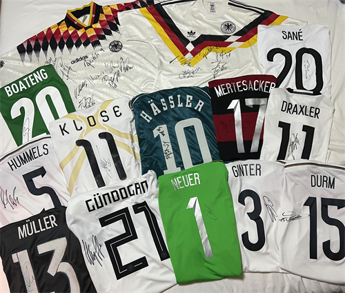 “场上第12人”回来了，上海德迷：我的世界杯又开始了