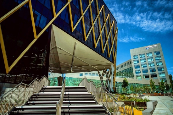 「新浪教育」英国纽卡斯尔大学中国区招生官雪婵：为何选择Newcastle？