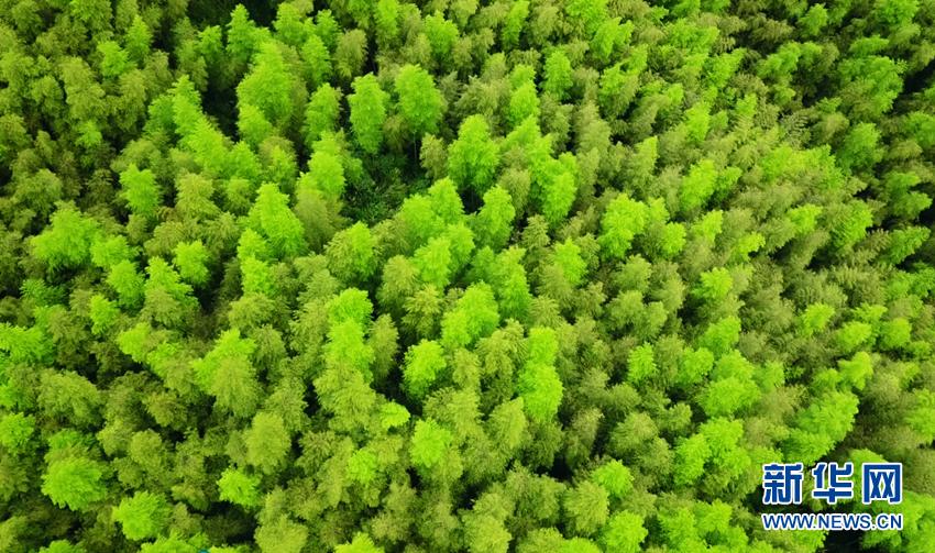 七一时评最暖人的话,年轻干部七一时评