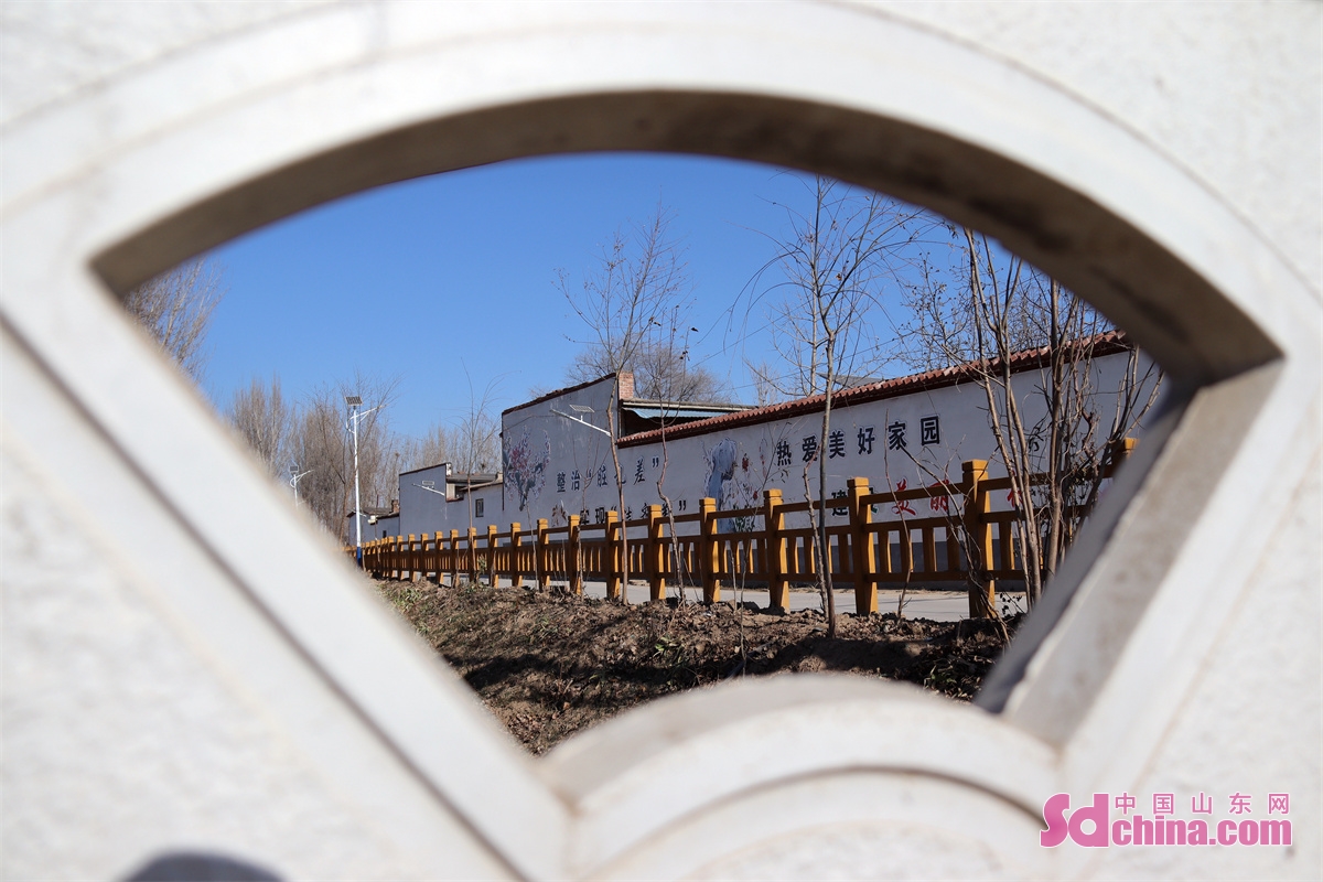 山东聊城乡村风景,聊城美丽乡村绿化石材