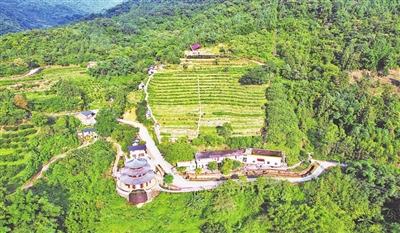 中国国际中医药论坛暨广东省第三届南药产业大会　旅游推动中医药文化传承