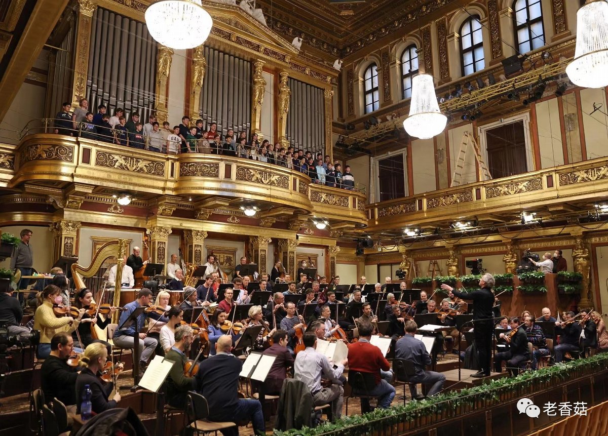 2023年维也纳新年音乐会解说嘉宾,2022维也纳新年音乐会曲目
