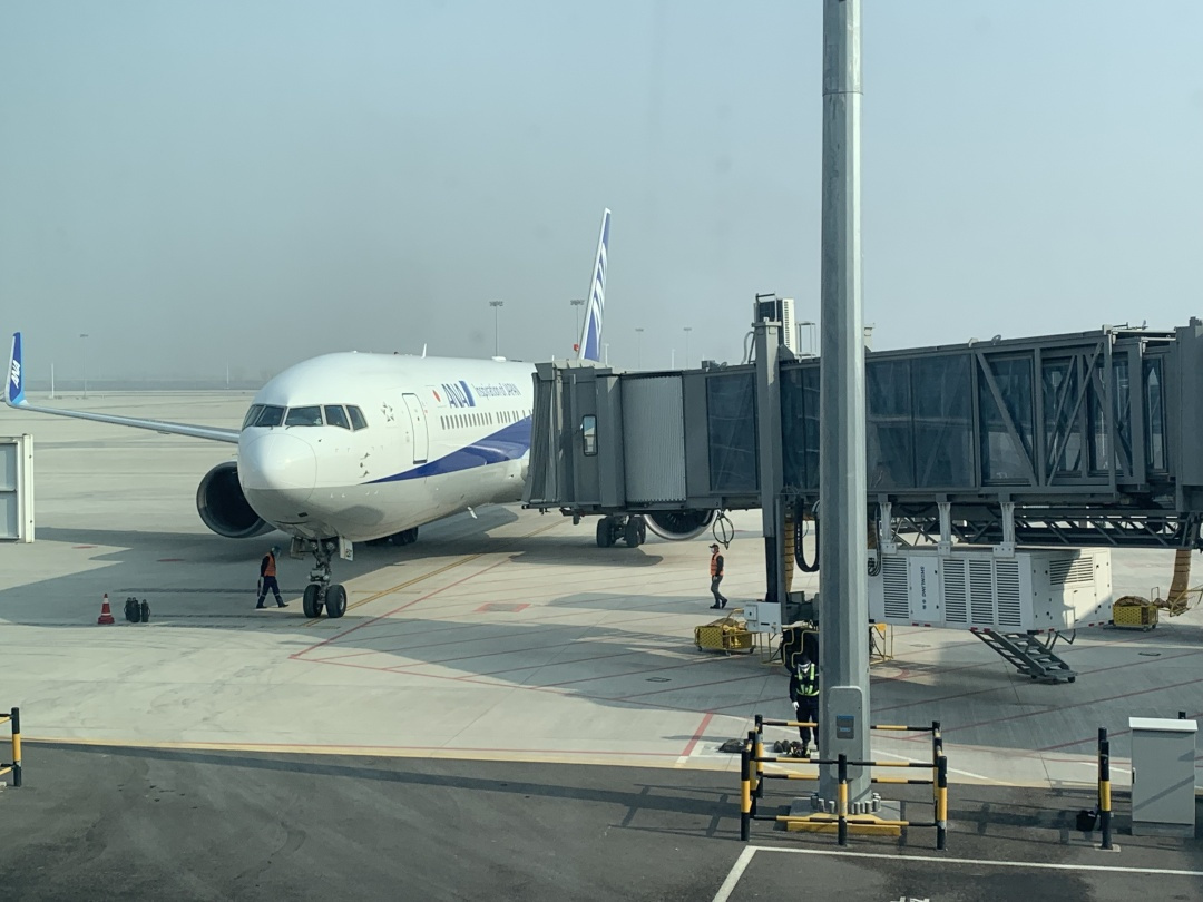 鍏ュ闈掑矝鍥介檯鑸彮,鐤儏鏈熼棿鍥介檯鑸彮鍥炲浗鍏ュ娴佺▼