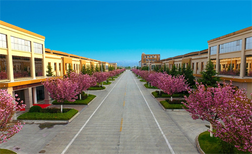 金徽酒最新重要消息,金徽酒为何逆袭