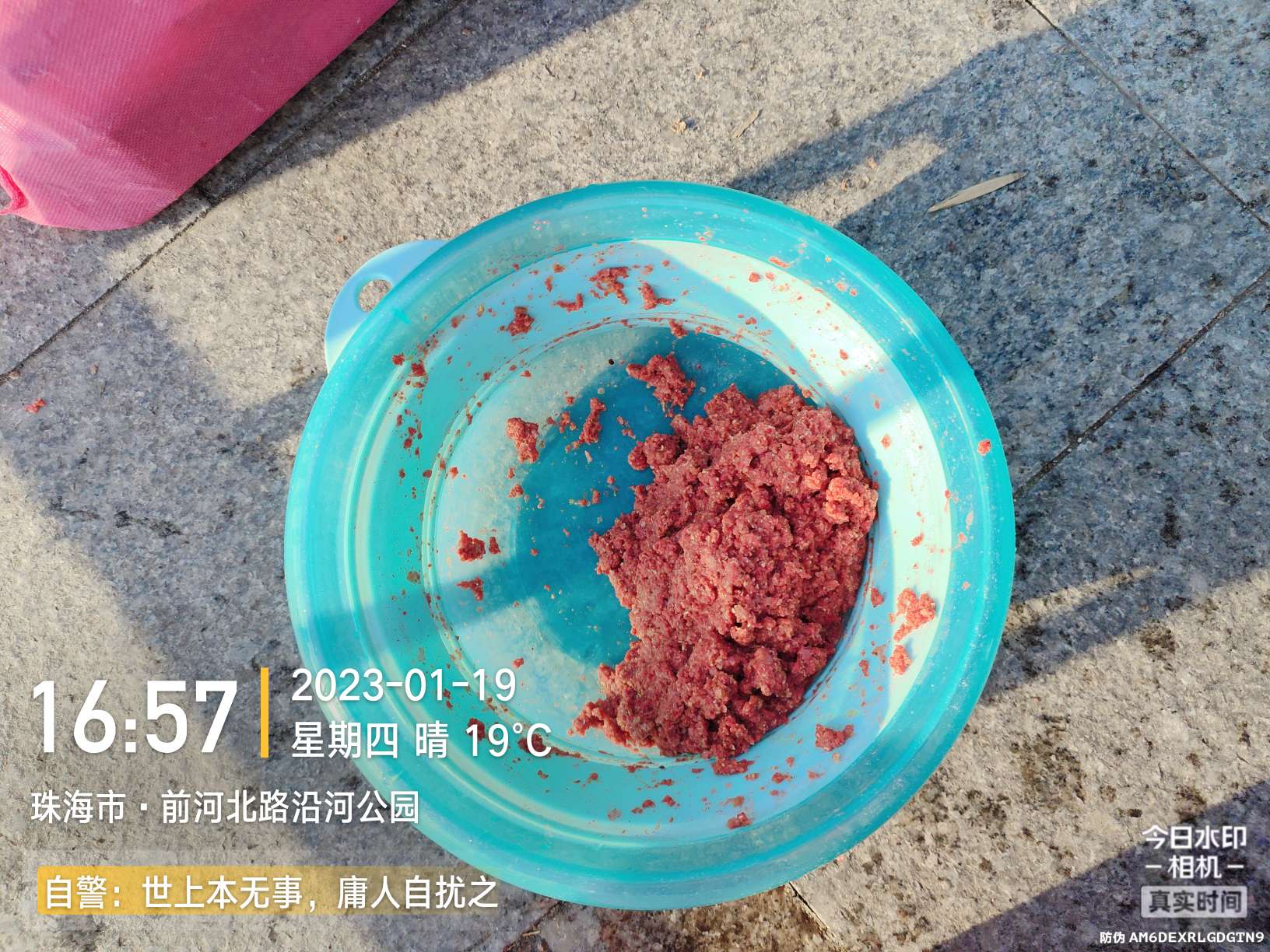 再回昔日热门钓位，铩羽而归，幸有鳊鱼数尾，颜面方得以保留