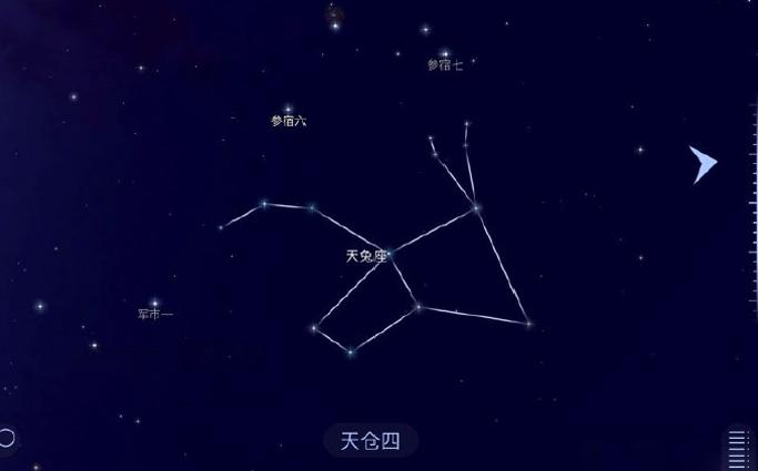 兔年有什么兔子,兔年遇见野兔预兆