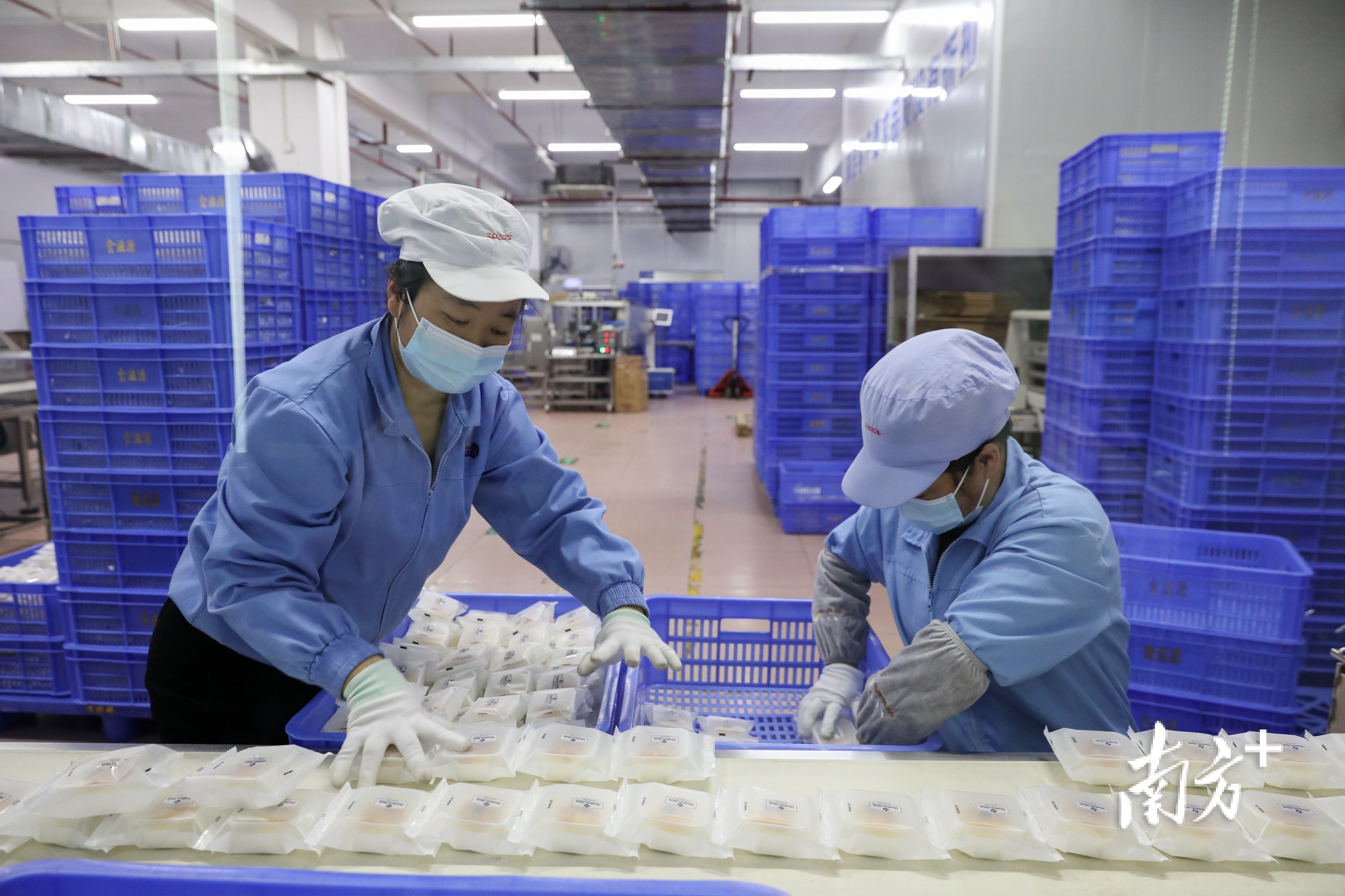 狠抓落实开新局,企业生产忙力争实现新年开门红