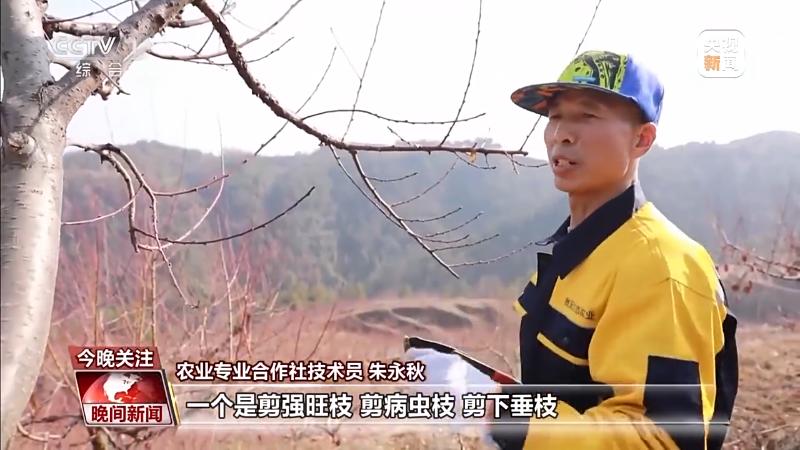 跑出中国经济新活力！各地各行各业开启加速模式