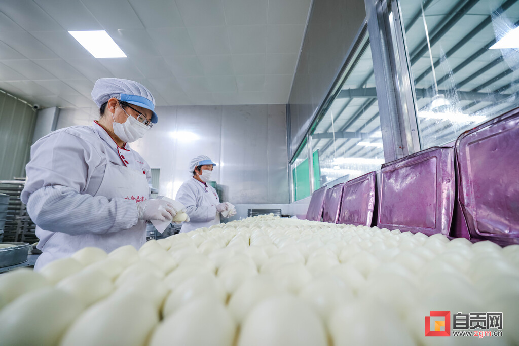 奋发兔强云上迎新年,奋发图强向未来资料