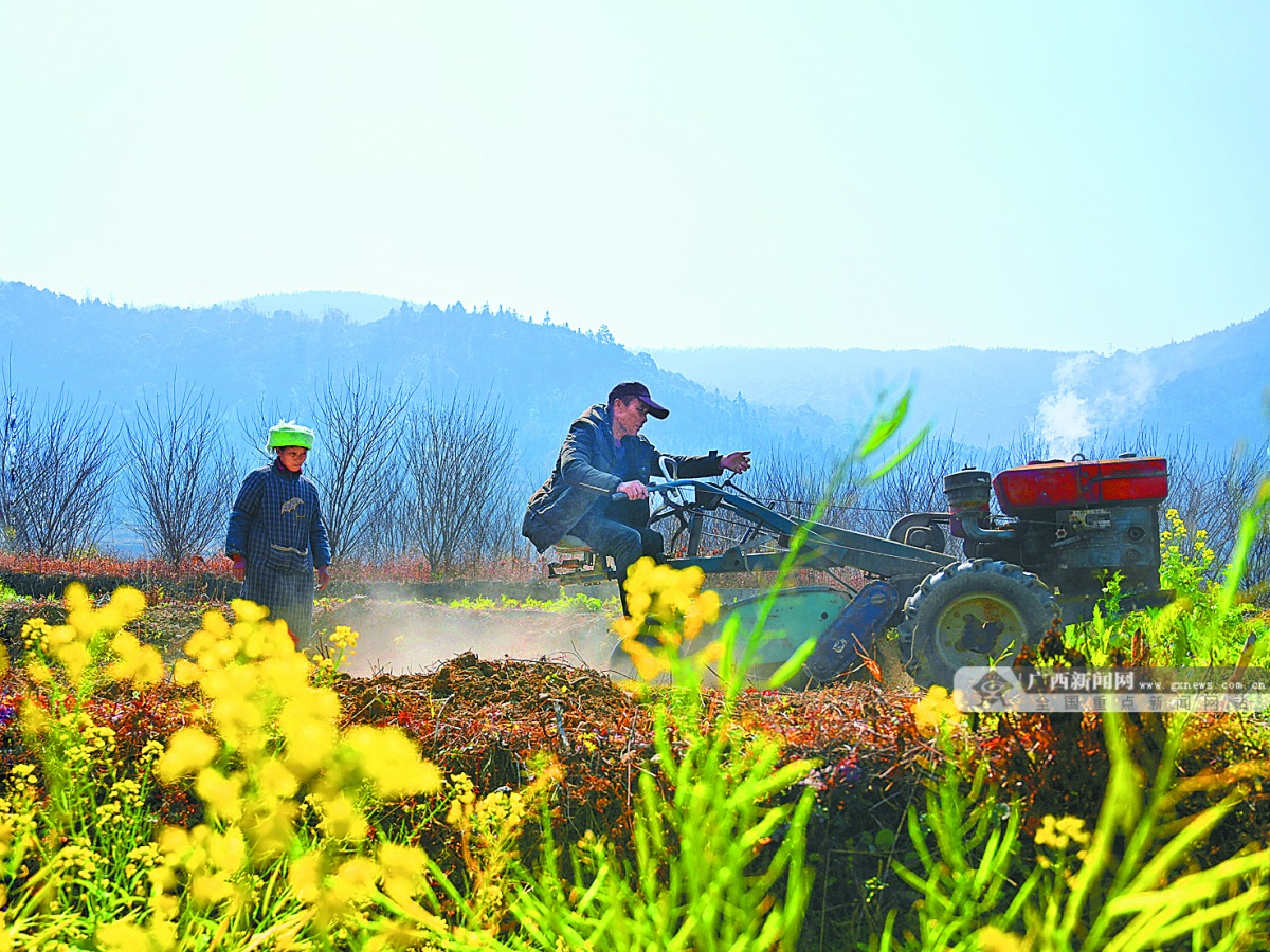 2022年11月22日焦点图,2021年12月2日焦点图