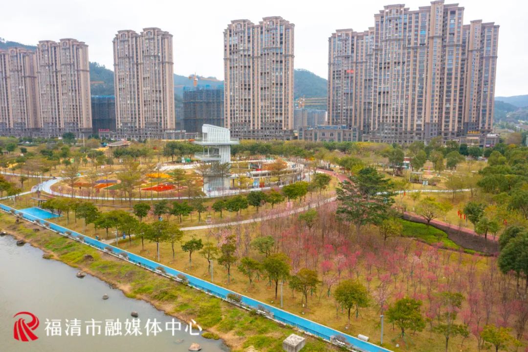 福清看樱花的地方,福清樱花圣地