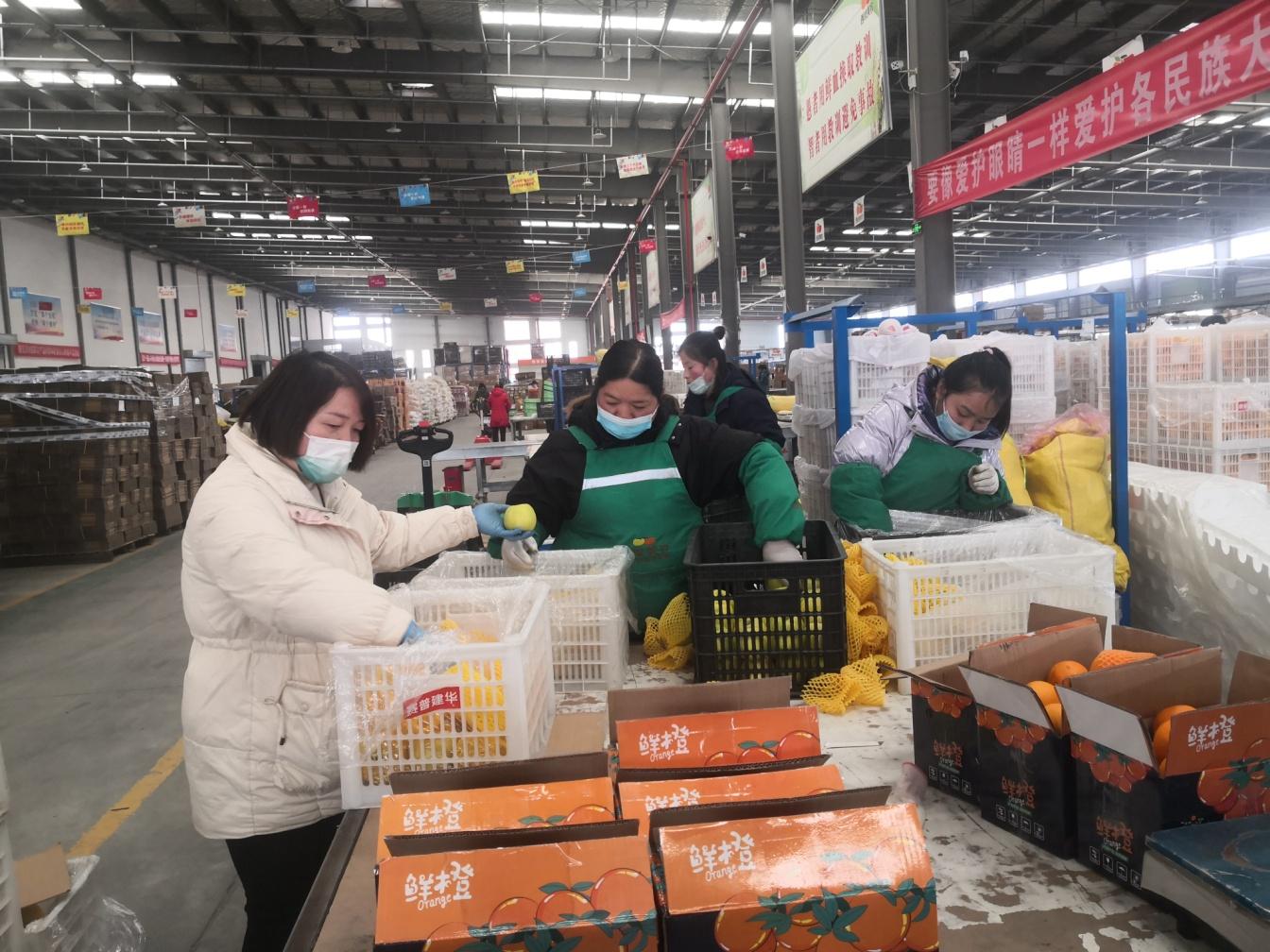 人勤春来早奋进正当时陕西省咸阳市武功县市场监管局“监管与服务”并重助力电商企业发展壮大