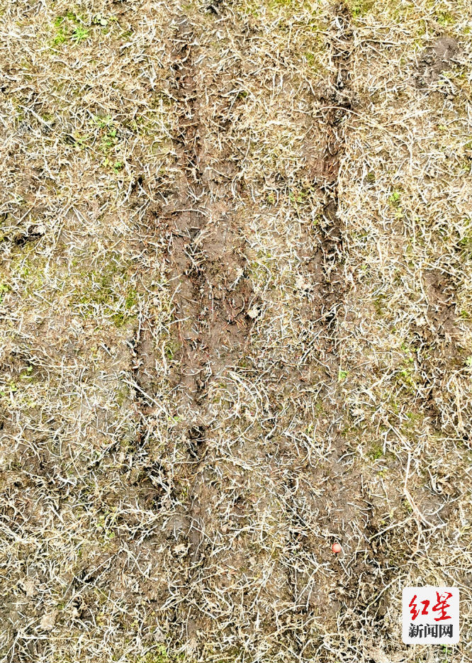 热心群众扶起电瓶车车主,热心市民逼停机车