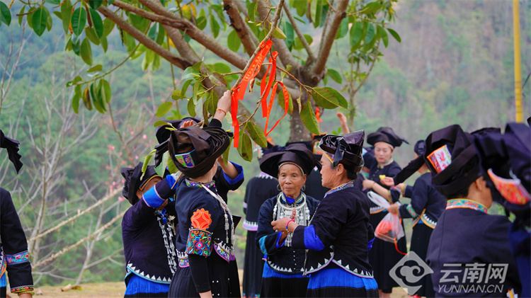西畴女子太阳节的文化背景,西畴县女子太阳节的节庆文化意义